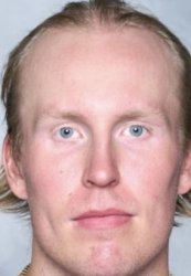 Laine Fortnite Meme Template