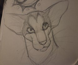 I liked this Meme Template