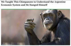 We Taught This Chimpanzee Meme Template