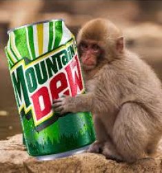 Mountain Dew Monkey Meme Template