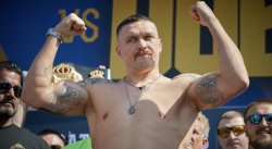 Don't push the horses Meme Template