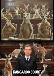 Kangaroo Court Meme Template