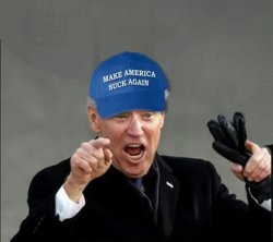 Joe Biden blue hat Meme Template