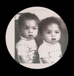 Hodge Twins Meme Template