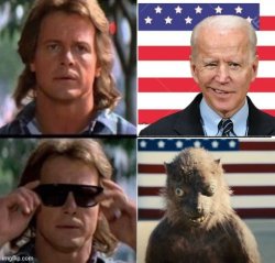 Joe Biden is a Weasel Meme Template