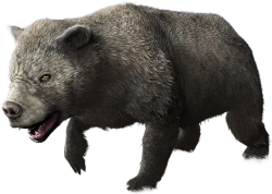 Arctodus (JWTG Design) Meme Template