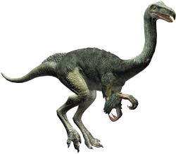 Aquilamimus Meme Template