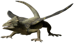 Coelurosauravus (JWA Design) Meme Template