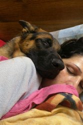 Chrisjoines1 Meme Template