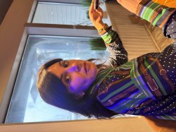 Kristen Rock Meme Template