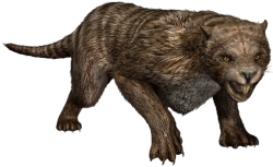 Thylacoleo (JWA Design) Meme Template