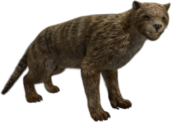 Thylacoleo 2 (JWA Design) Meme Template