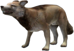 Dire Wolf (JWA Design) Meme Template