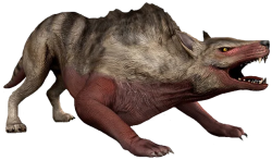 Aenocyonyx Meme Template