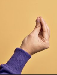 Italian hand gesutre Meme Template