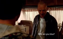 why are you blue Meme Template