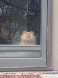 Chrisjoines1 Meme Template