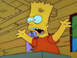 Bart the General Meme Template