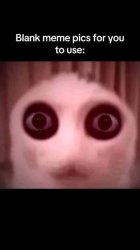 Cat eyes wide open Meme Template