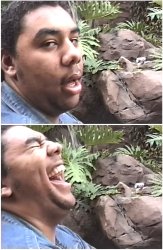 You Serious LOL Meme Template