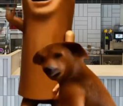 Dog looks back Meme Template