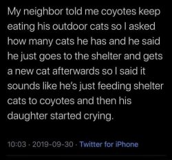 Feeding cats Meme Template