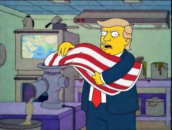 Very Little X in Y Meme Template