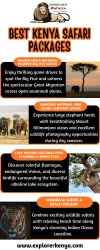 Best Kenya Safari Packages Meme Template