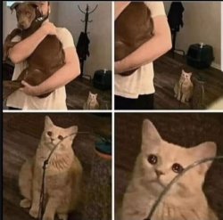 Cat jealous Meme Template