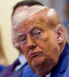 Trump BS Frog Meme Template