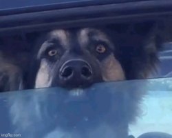 Chrisjoines1 Meme Template