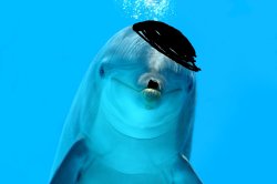 Adolphin Hitler Meme Template