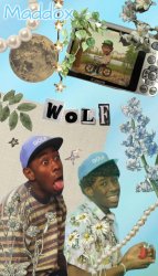 maddox wolf temp Meme Template