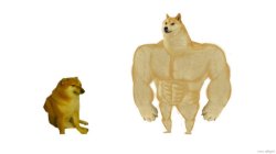 Dodge Virgin vs Chad Meme Template