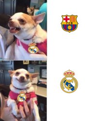 Madridfans chihuahua Meme Template