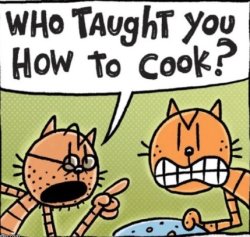 Who taught you how to cook Meme Template
