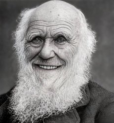 Darwin smiles Meme Template