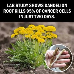 Old Friends Meme Template