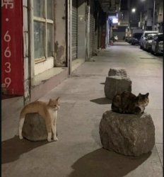 Longer than expected Meme Template