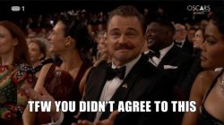 Oscars Leo Meme Meme Template