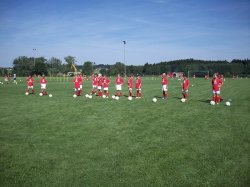 Ball Grass Mirror Image Mode Meme Template