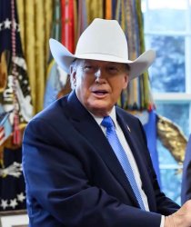 Cowboy Meme Template