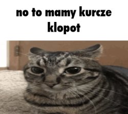 no to mamy kurcze Meme Template