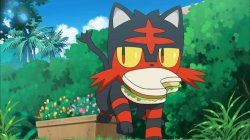 Litten Meme Template
