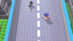 luxray on the binge Meme Template