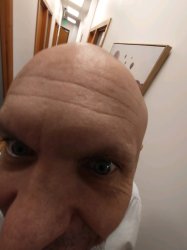 Bald guy Meme Template