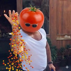 Tomato Bae Meme Template