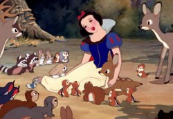Snow White talking to animals Meme Template