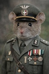 Mouseolini Meme Template