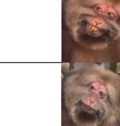 monkey smile Meme Template
